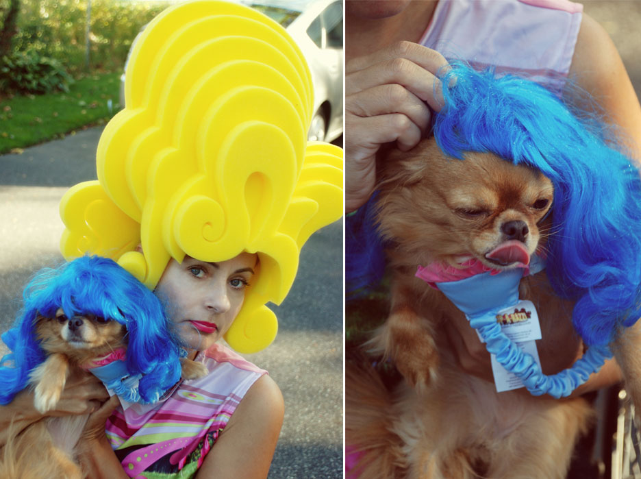 Chris March Wig and Chihuahua wig costume
