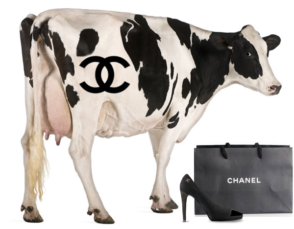 Chanel shoe with cow and logo