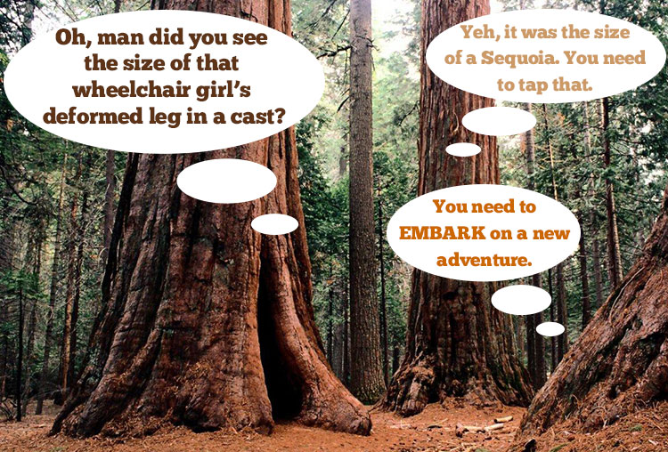 sequoias in conversation