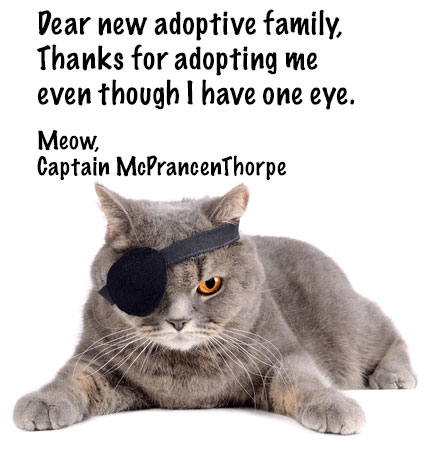 One eyed cat happy with adoptive family and his eye patch