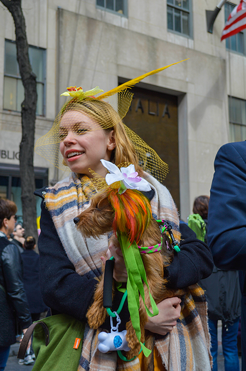 Dog with fascinator hat at the nyc easter hat parade 2016