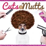Cuts for Mutts: From Woof to Wow