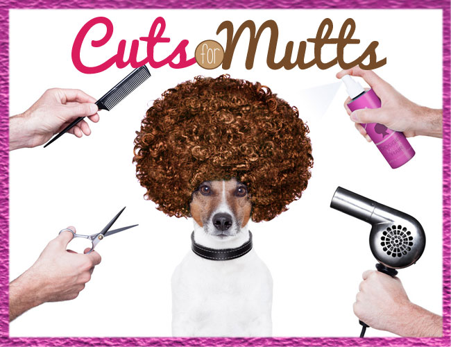 Cuts for Mutts Fundraiser