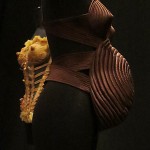 Maternity corset Gaultier