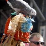 trained parrot at the easter hat parade ny
