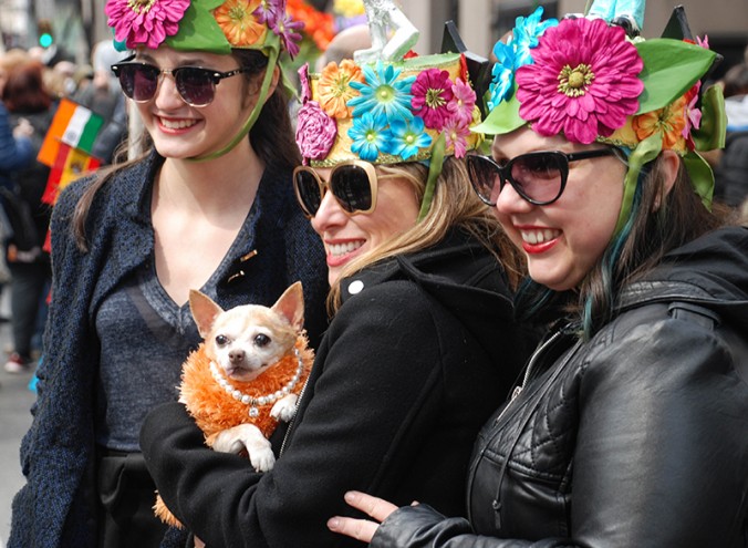 Couture dog at the NYC Easter Day Hat Bonnet Parade 2016