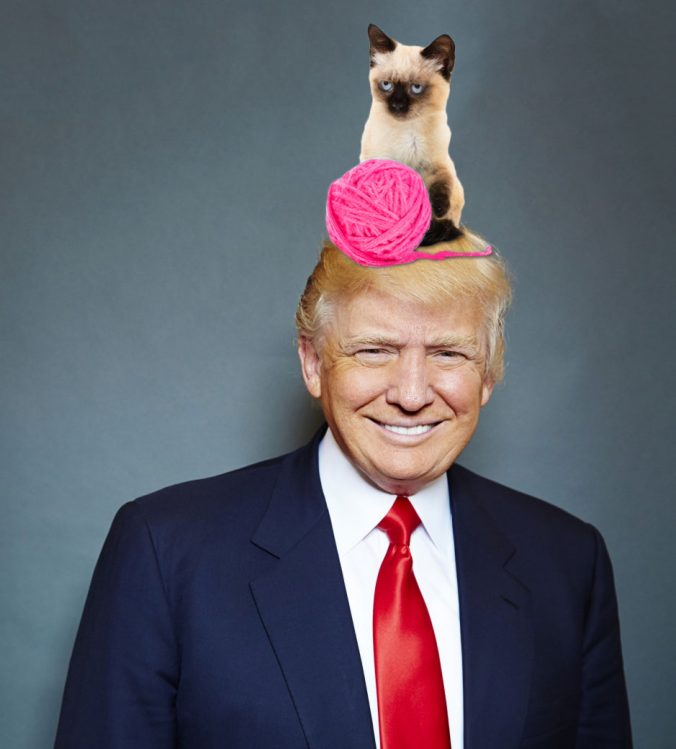 donald and pussy cat